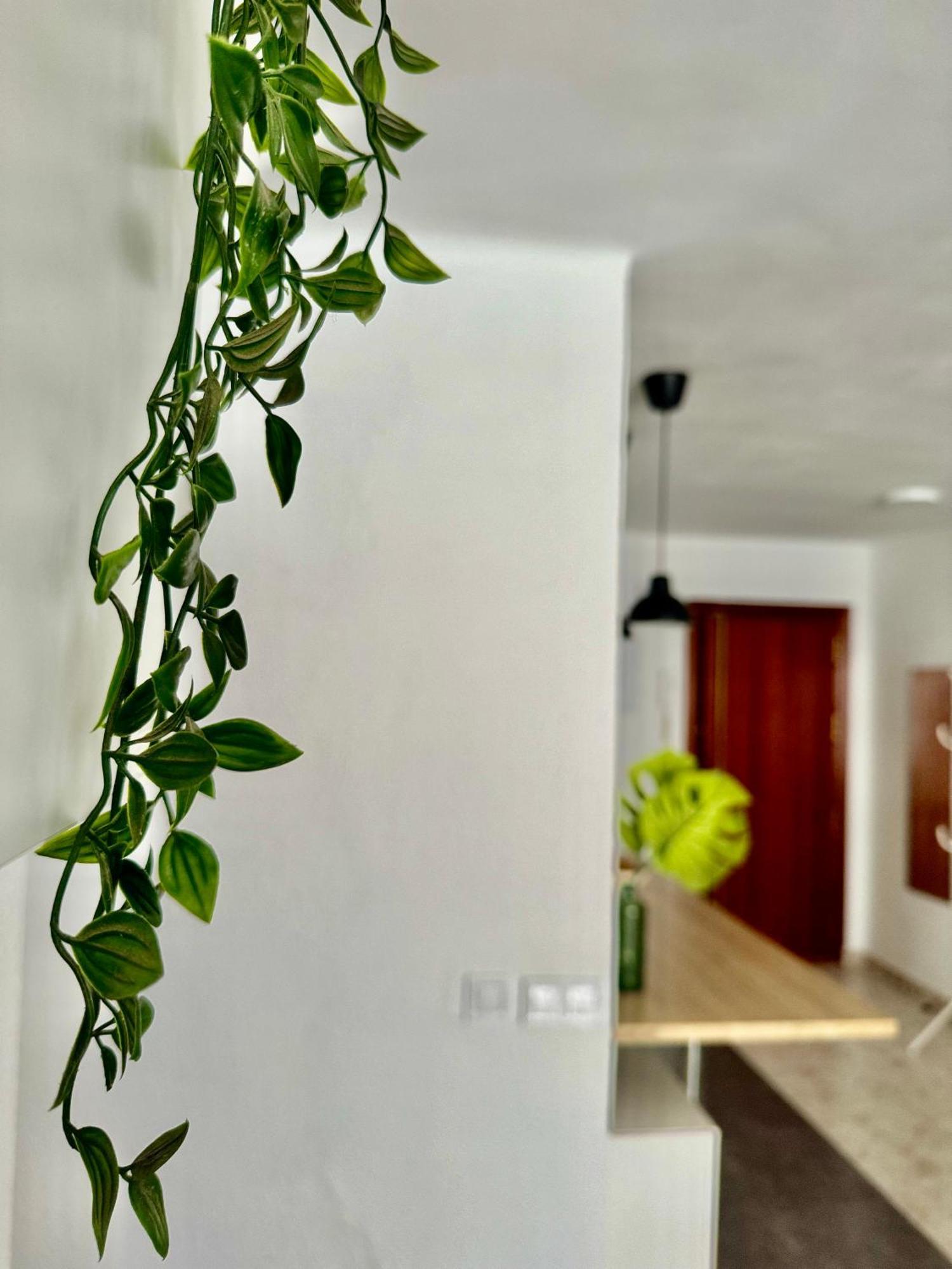 Acogedor Apartamento En Малага Екстериор снимка